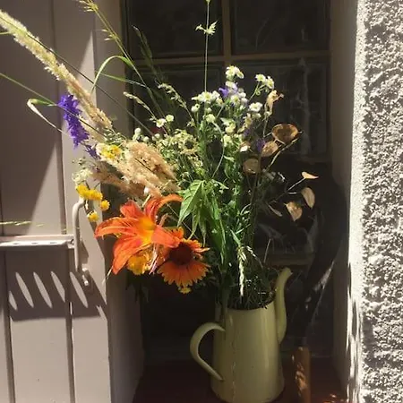 Maison&jardin Charmant&typique Au Coeur Du Conflent Casa de Férias