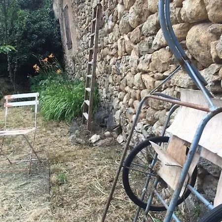 Maison&jardin Charmant&typique Au Coeur Du Conflent Sahorre